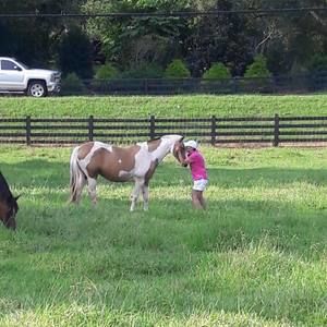 Meet your Posher, Ann